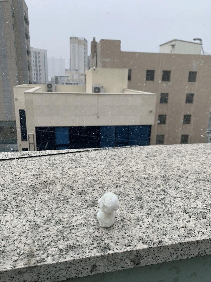 오랜만에 폭설와서 눈사람 만든 부산사람.jpg_1.png