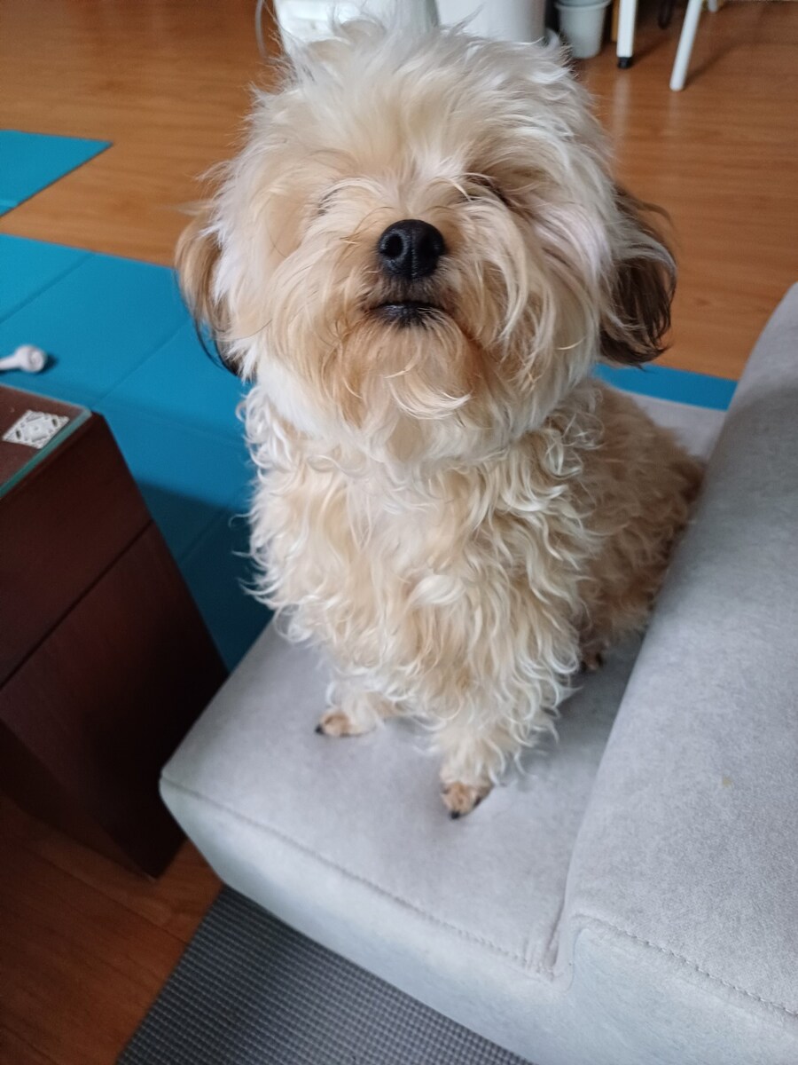 비포 & 애프터_1.jpg