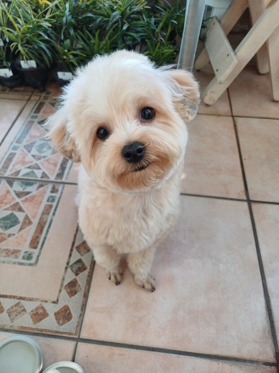 비포 & 애프터_2.jpg