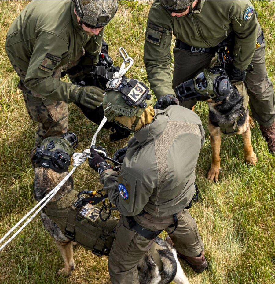 군견용 마스크.jpg_3.jpg