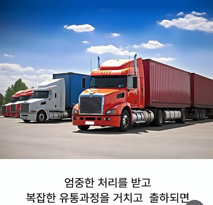 요즘 마트에 새송이 버섯이 없는 이운_2.jpg