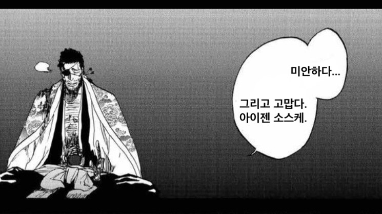 블리치쿄라쿠 대장님이 총대장이 된 이유.jpg&nbsp;_27.jpg
