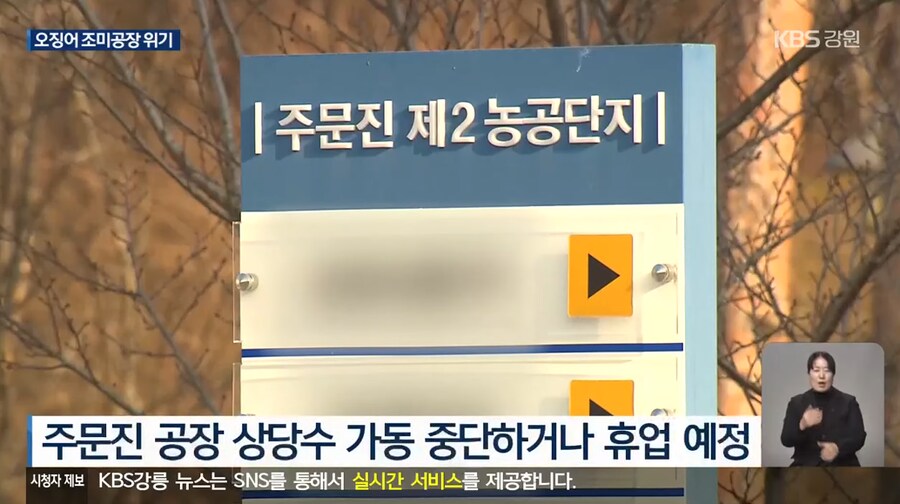 이슈) 진미채, 오징어 안주, 등등 오징어 가공류 근황 ㄷㄷ.jpg_5.png