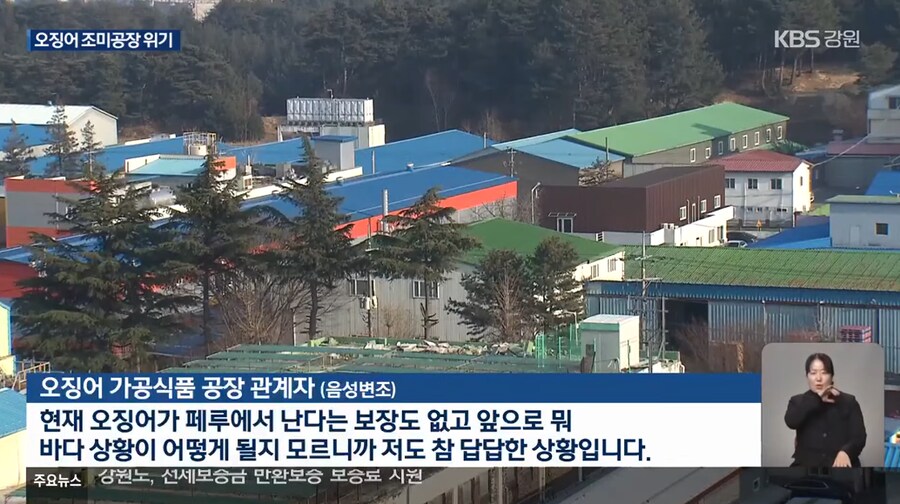 이슈) 진미채, 오징어 안주, 등등 오징어 가공류 근황 ㄷㄷ.jpg_6.png