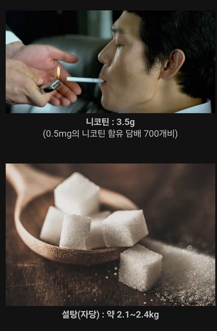 50%의 확률로 죽을 수 있는 음식의 양.jpg_3.jpg