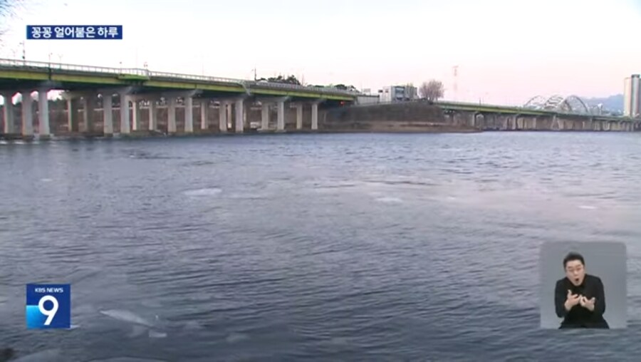 스타되고 싶은 고양이들은 당장 나가야 하는 이유_1.jpg