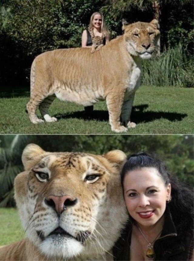 능력에 상관없이 외모때문에 외면당하는 수컷_4.jpg