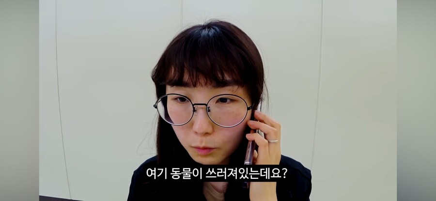 당직 민원 전화(feat.고라니)_4.png