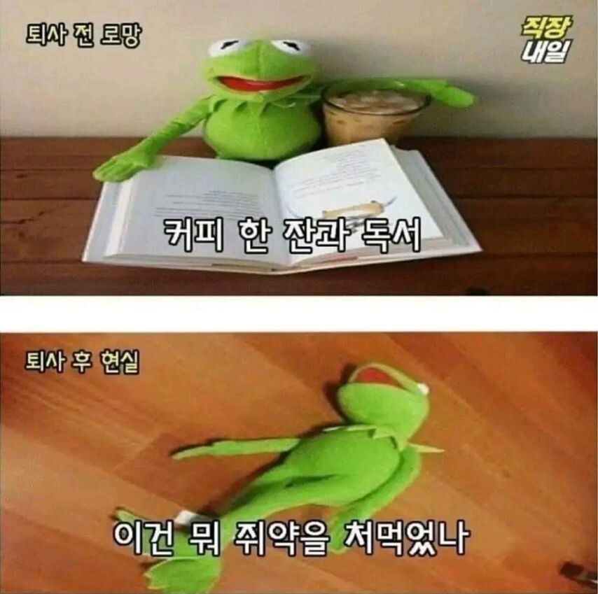 퇴사전 로망과 퇴사후 현실.jpg_6.jpg