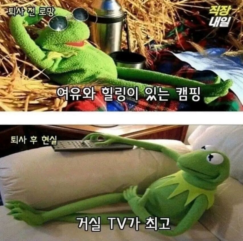 퇴사전 로망과 퇴사후 현실.jpg_7.jpg