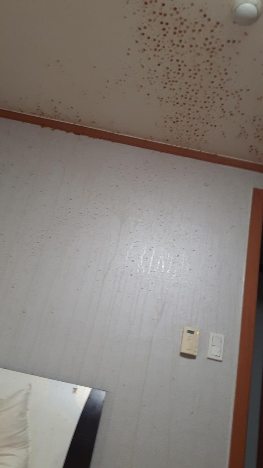 얼린 코카콜라의 최후_1.jpg