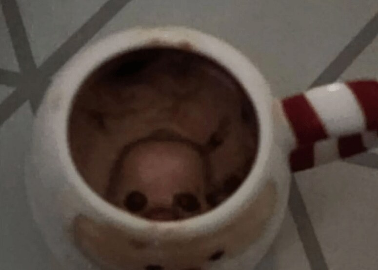 이슈) 흔한 핫초코 잔망루피 에디션 대참사 ㄷㄷㄷㄷ.jpg_8.png