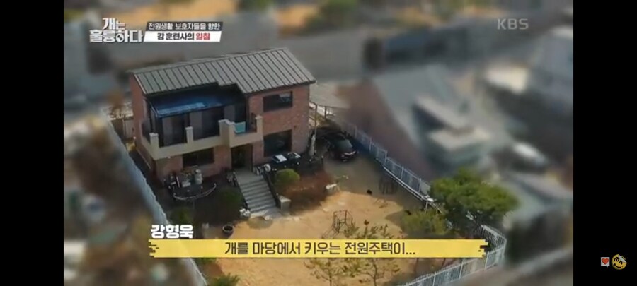 전원주택에서 개를 키우는 것에 충고하는 강형욱._8.jpg