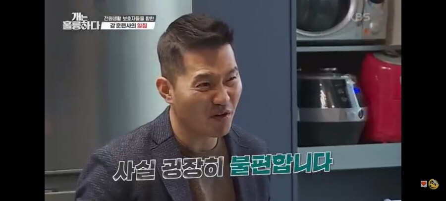 전원주택에서 개를 키우는 것에 충고하는 강형욱._9.jpg