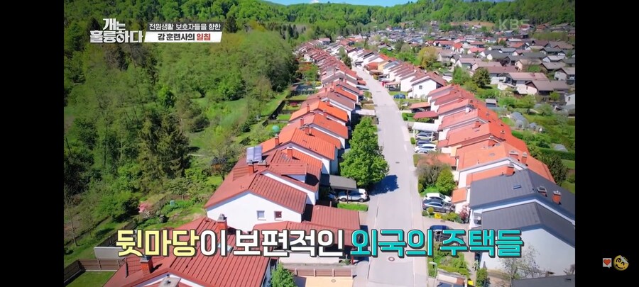 전원주택에서 개를 키우는 것에 충고하는 강형욱._10.jpg