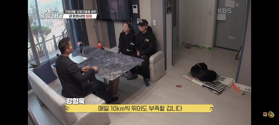 전원주택에서 개를 키우는 것에 충고하는 강형욱._32.jpg