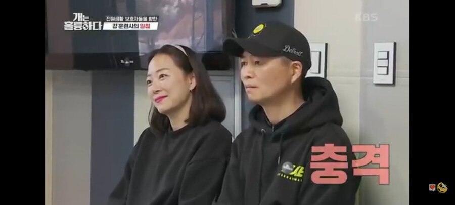 전원주택에서 개를 키우는 것에 충고하는 강형욱._3.jpg