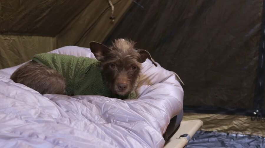 -5°C에 텐트에서 한국식 바베큐 하겠다는 외국인_26.jpg