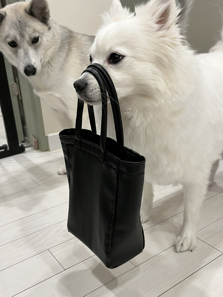 안입는 자켓으로 여친 가방 만들어준 남친_5.jpg