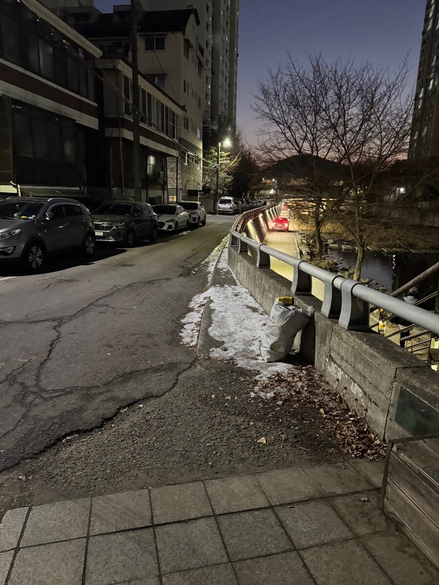 안양천 보행자길에 자동차나타남_1.jpg