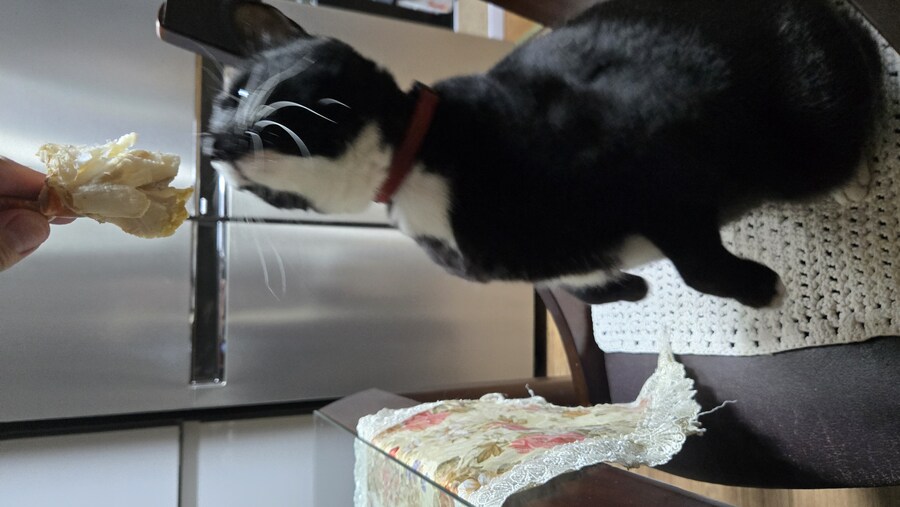 술 땡겨서 야옹이랑 게 쩌먹었어_9.jpg