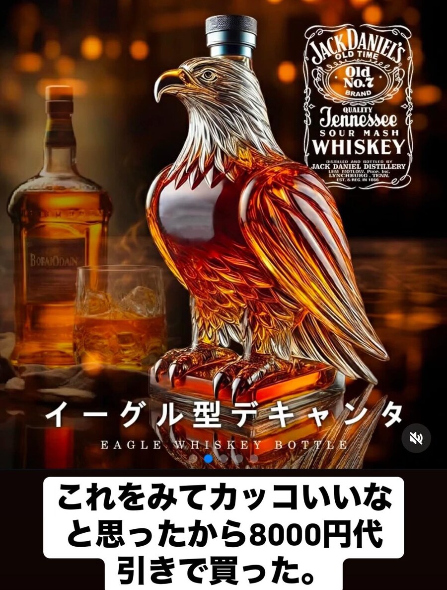 테무에서 산 독수리_1.jpg