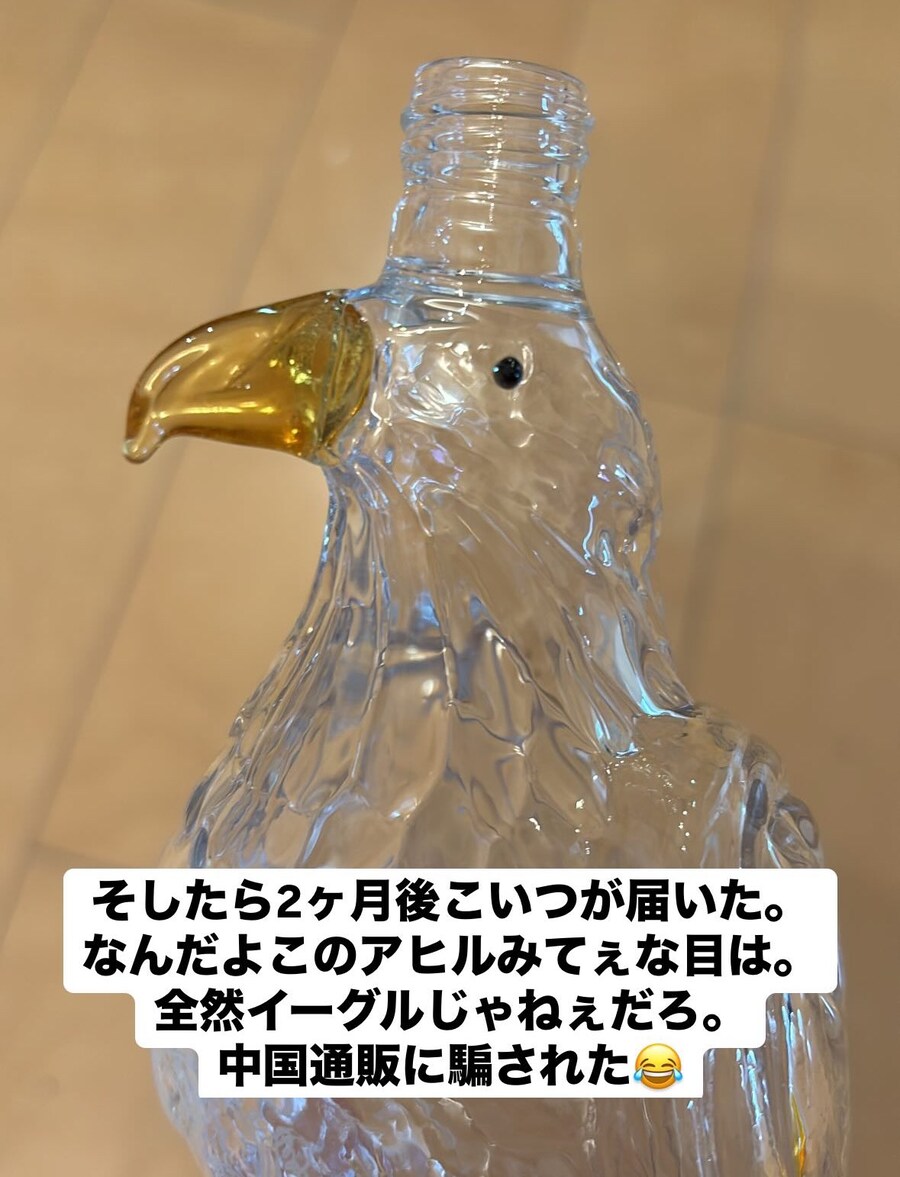 테무에서 산 독수리_2.jpg