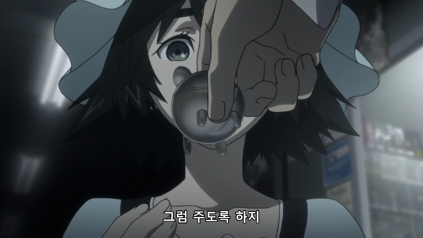 STEINS;GATE 자료 (게임,애니,극장) ver 0.4_20.png