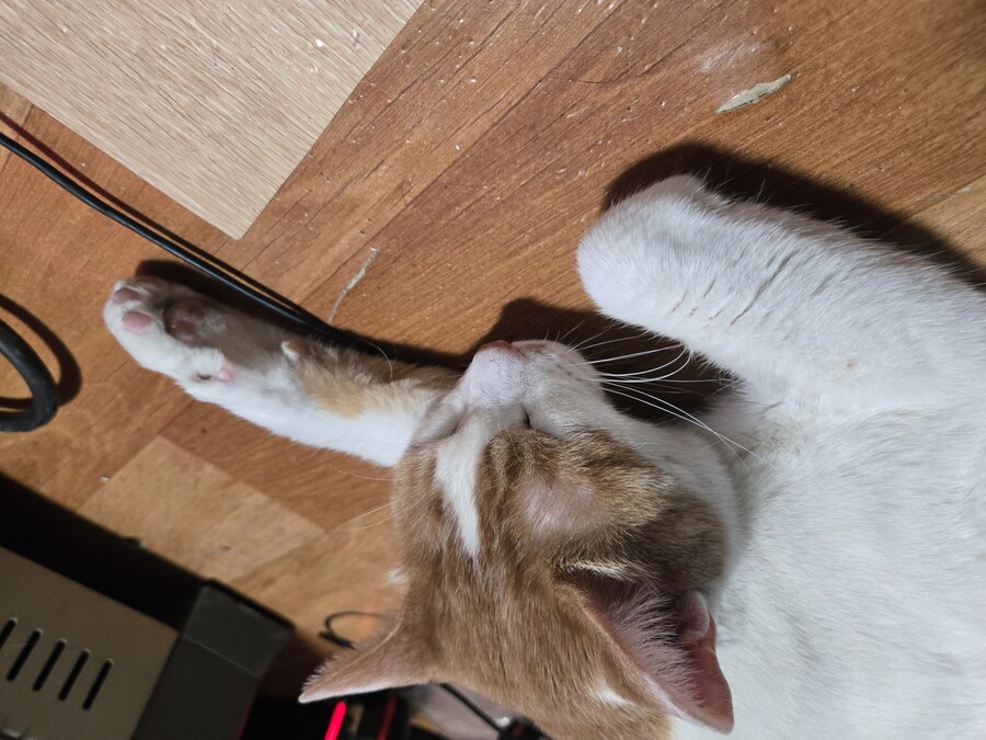 요즘 난로 계속 틀고 있거든_2.jpg