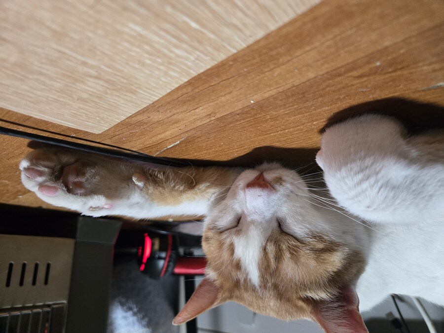 요즘 난로 계속 틀고 있거든_3.jpg