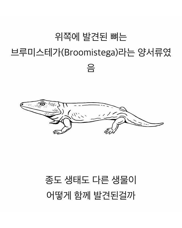 2억년전의 기묘한 운명_4.jpg