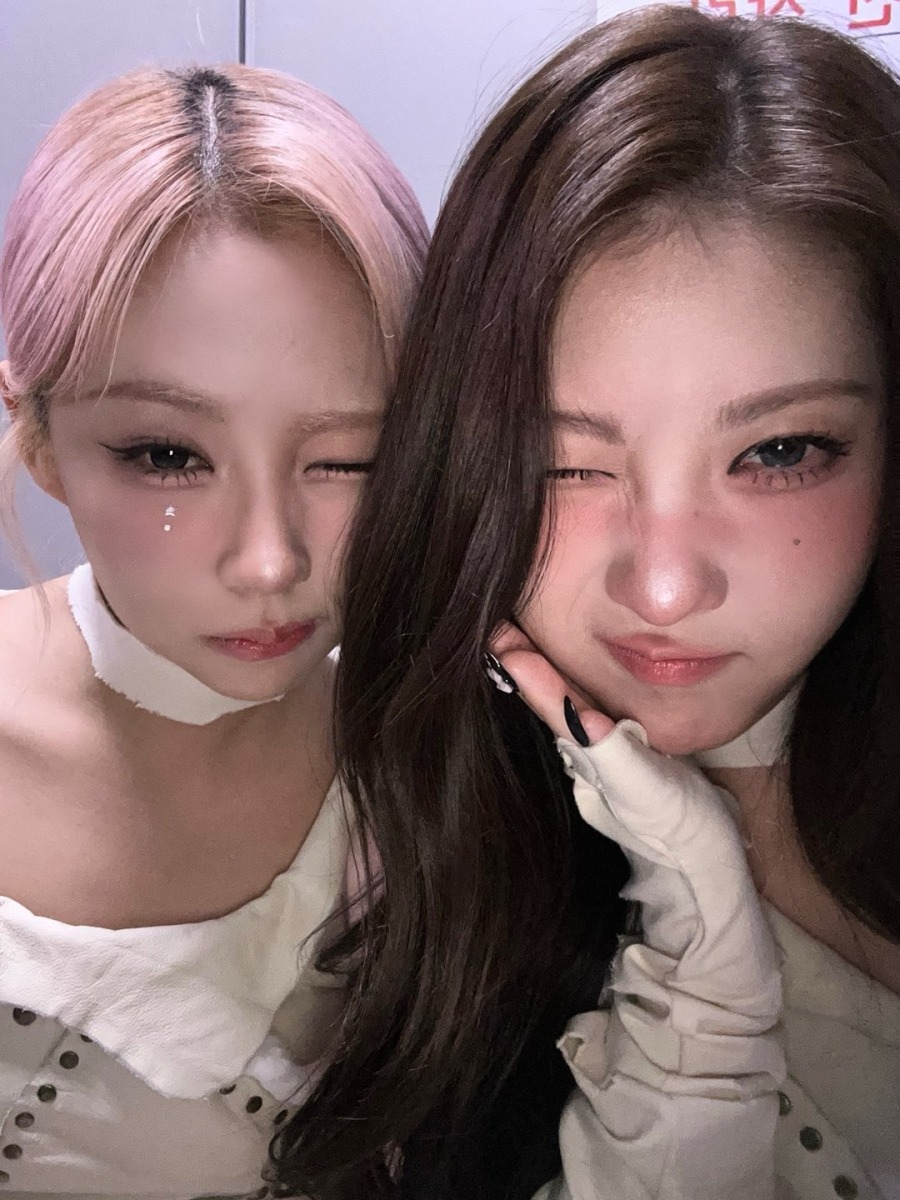 250211.트위터.채인 8.jpg