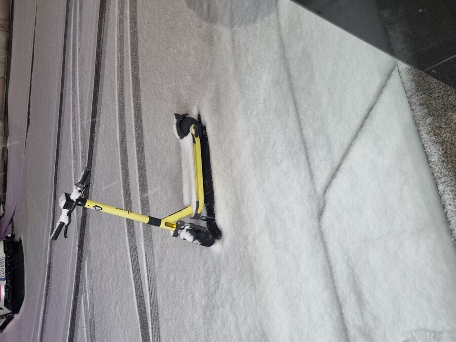 나 고향땅에서 눈 이렇게 내리는거 진짜 오랜만에봄_2.jpg