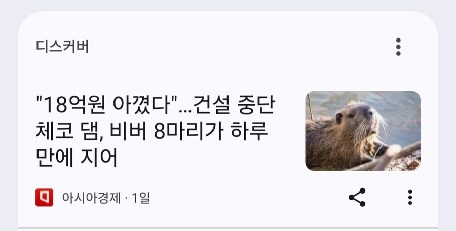 인간들이 못지은 댐 비버가 지어줘 18억 절약_1.jpg