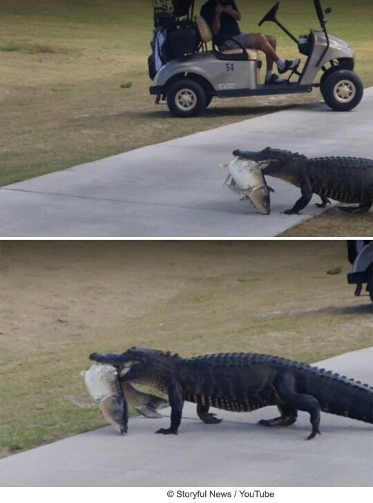 살벌한 미국 물가 상황_1.png