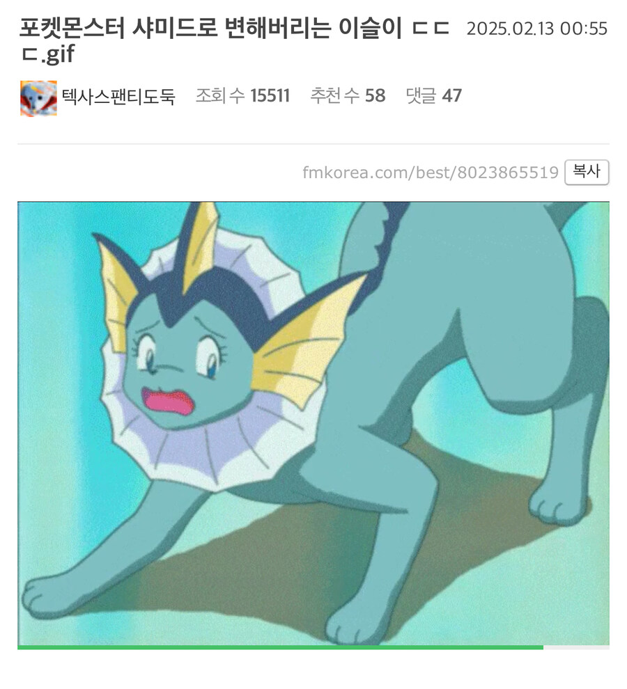 포간러가 말하는 샤미드가 좋은 이유.jpg_1.jpg