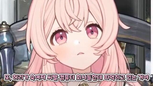 [버튜버] 엔비디아가 싫은 치킨피자_47.png