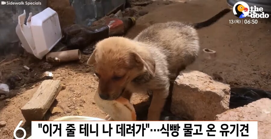 ??? : 야 이거 줄게ㅋㅋㅋ니들 이거 좋아하지? 오다 주웠다ㅋㅋㅋ_3.png