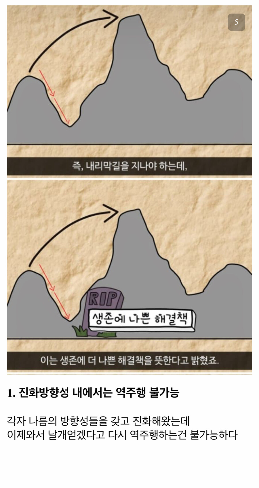 인간한테 날개가 없는 이유_3.jpg