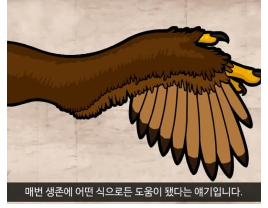 인간한테 날개가 없는 이유_5.jpg