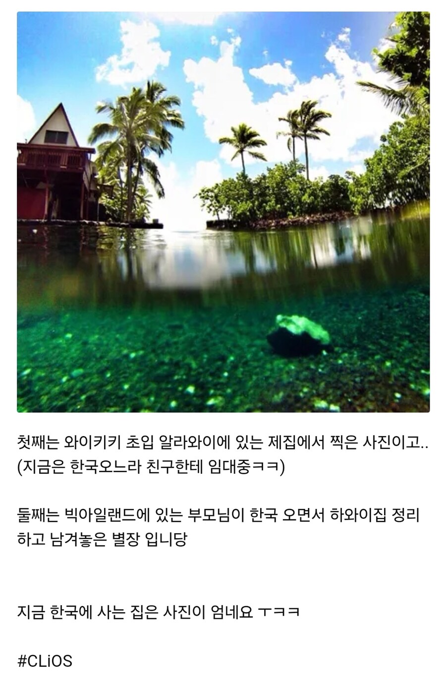 개인적으로 제일 웃겼던 허언증_1.jpg