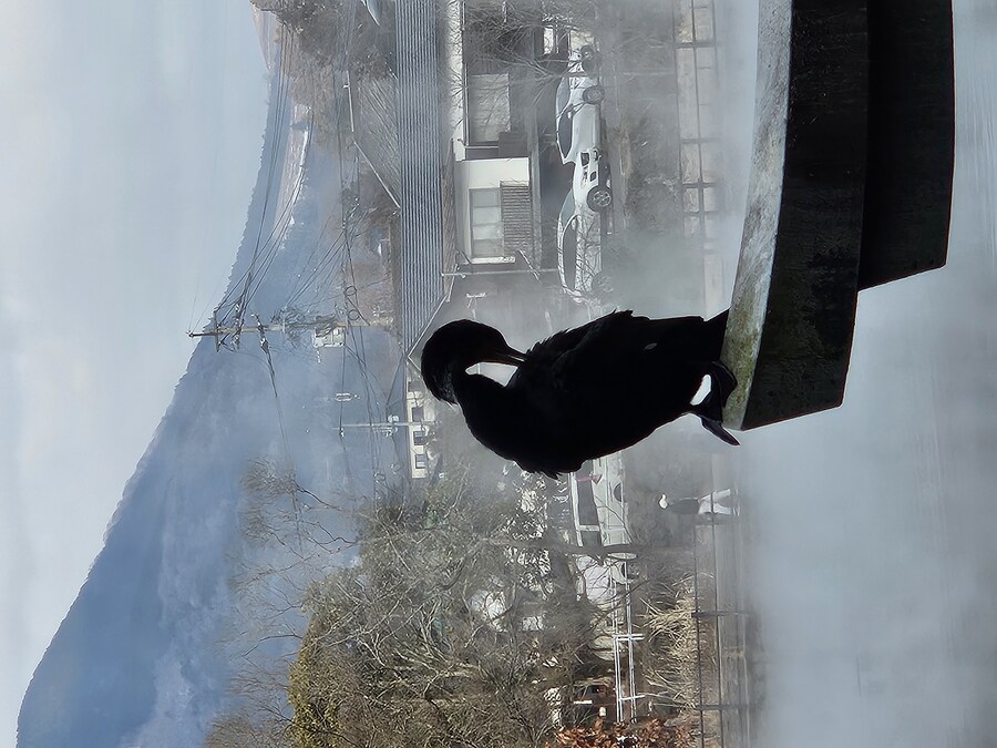 구마모토와 함께하는 먹거리 기행_33.jpg