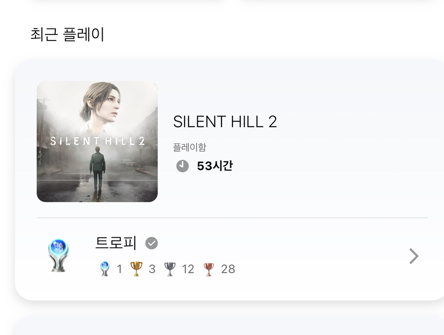 사힐2 리멕 플래티넘 완료_1.jpg