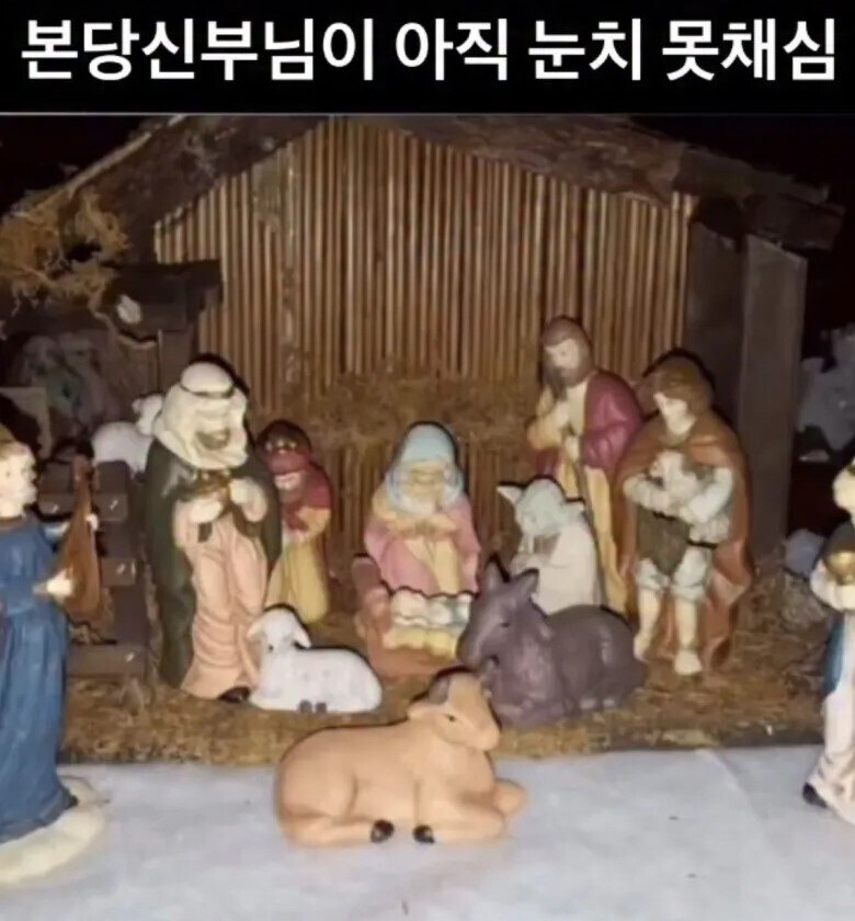 우리집에 첩자가 있다_1.jpg