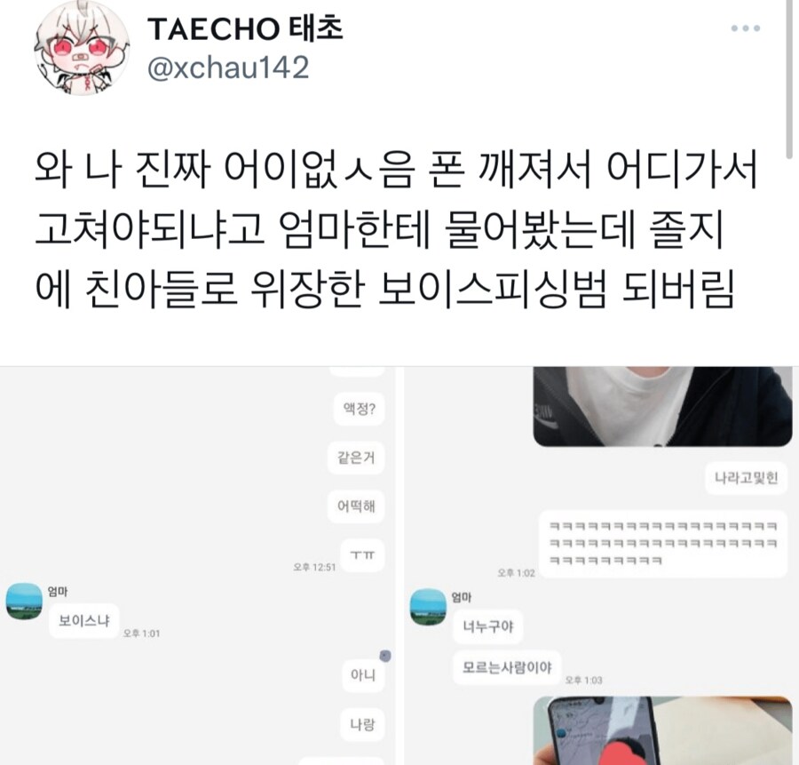 친아들을 보이스피싱범으로 오해한 어머니.jpg_1.png