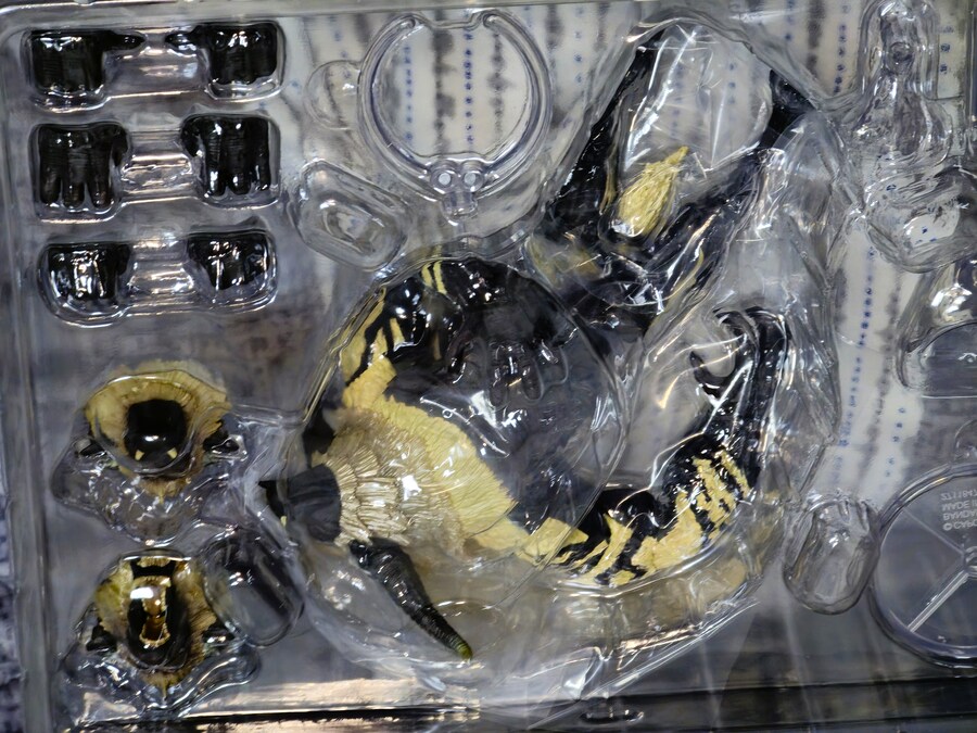 몬스터헌터) 어제 온 라잔 피규어_4.jpg