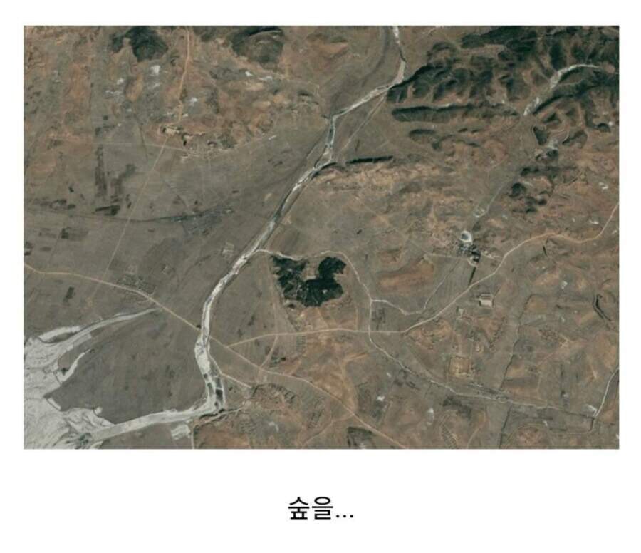 나무를 숨기려면 숲에다 숨겨라_3.jpg