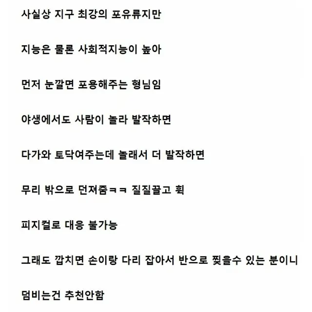 엄청 강하지만 위험하지 않다는 동물_4.webp