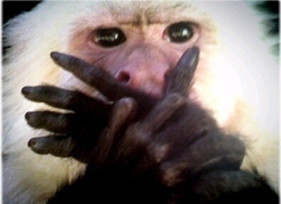 너무나 충격적인 유게이 박제함_2.jpg