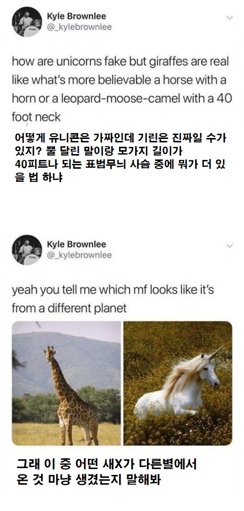 둘 중 어떤게 다른별에서 온거 같은 디자인일까_1.png